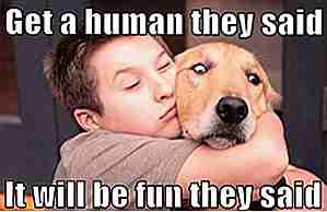 25 Hilarious Dog Memes som vil lyse opp dagen din