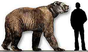 25 Giant Forhistoriske Forfedre Of Modern Day Animals