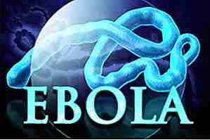 25 Nysgjerrige fakta om Ebola du bør vite