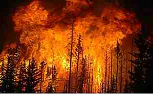 25 La maggior parte degli incendi devastanti mai registrati nella storia