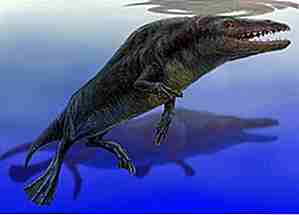 25 criaturas prehistóricas más extrañas para gobernar la tierra