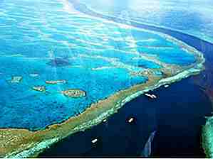 25 fatti interessanti della Grande Barriera Corallina che vorrai sentire