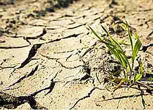 25 Sequías más severas jamás registradas