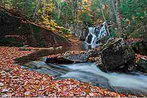 25 Razones por las que el Parque Adirondack es un gran lugar para visitar