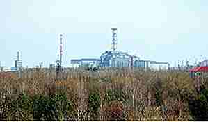 25 efectos sorprendentes de la fusión nuclear de Chernobyl en el medio ambiente