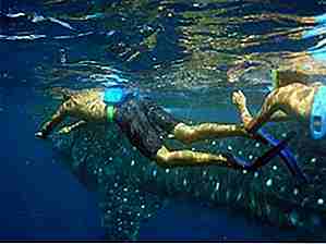 25 meilleurs endroits pour faire de la plongée sous-marine