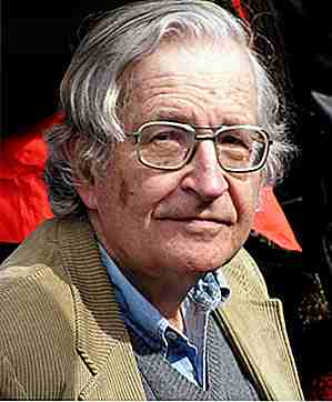 25 Fakten über Noam Chomsky, die Sie vielleicht nicht kennen