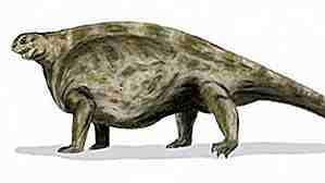 25 animales prehistóricos más grandes que existan